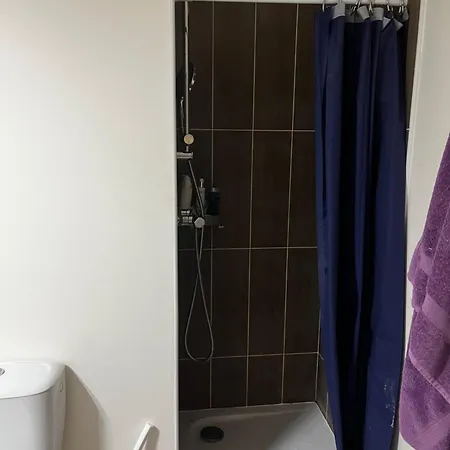 T2 Proche Centre Лилль